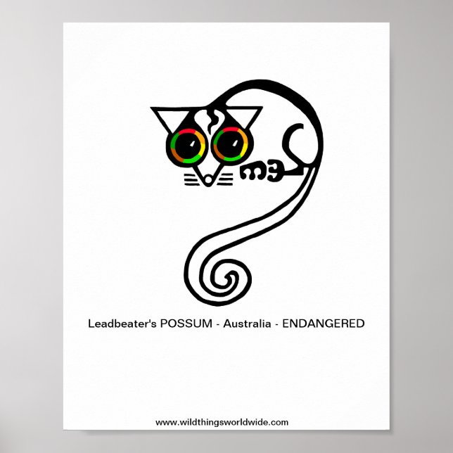 Farligt djur - Leadbeaters POSSUM-Australien Poster (Framsidan)