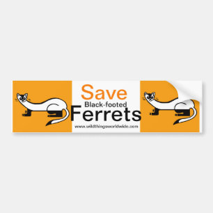 Farligt djur - Spara Black-foted FERRETS- Bildekal