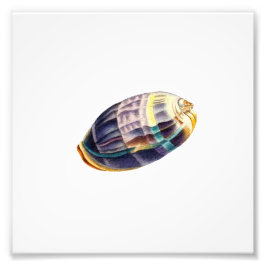 Farligt havsbottenområde fototryck