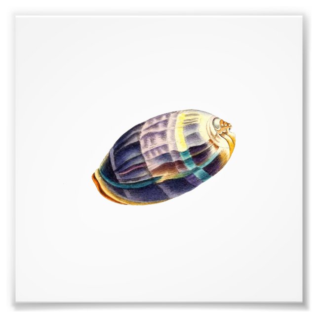 Farligt havsbottenområde fototryck (Framsidan)