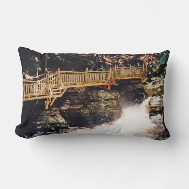 Farligt Väg Lumbarkudde (Framsida)