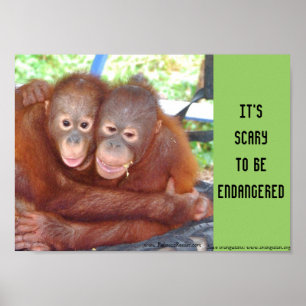 Farligt Wildlife Baby Hugs Poster