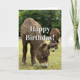 Farm Animal Donkey Cute Barnyard Funny Birthday  Kort