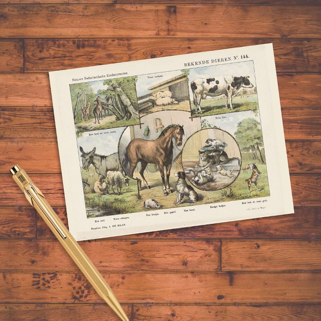 Farm Animal Vintage Dutch Artwork Vykort (Skapare uppladdad)
