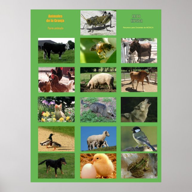 Farm Animals Poster .Animales de la granja (Framsidan)