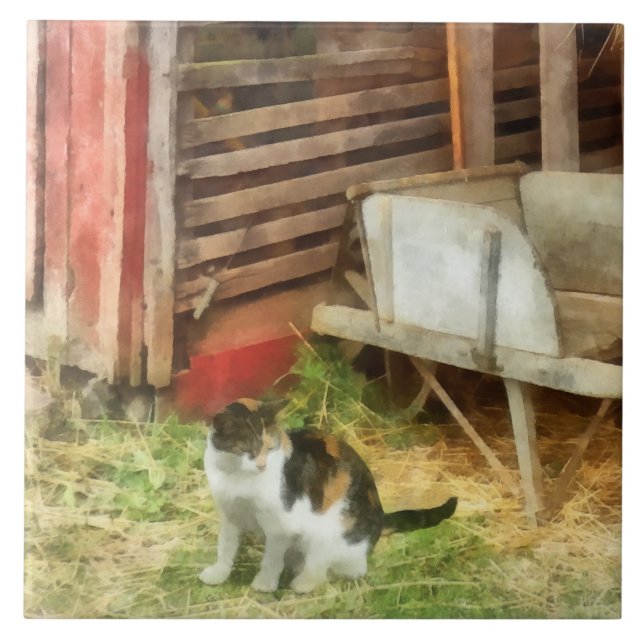 Farm Cat Kakelplatta (Framsidan)
