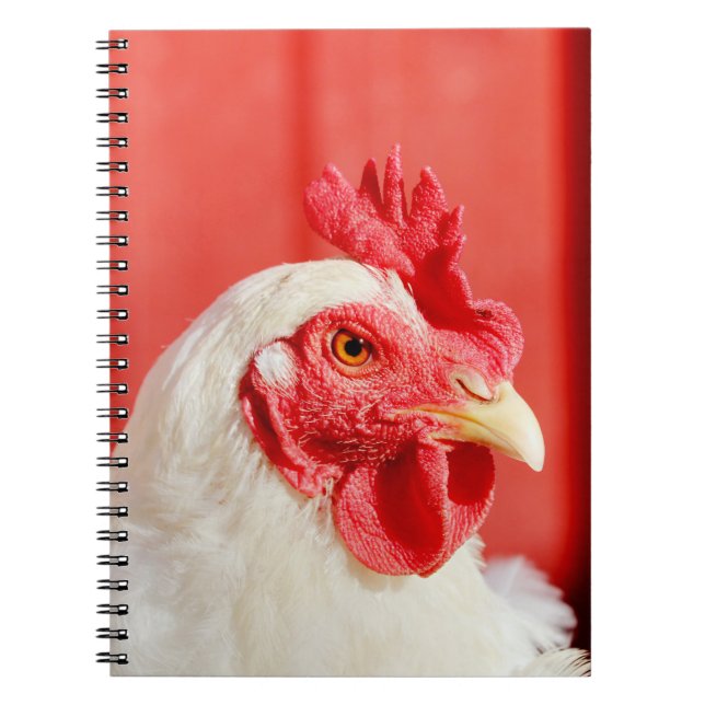 Farm Chicken Anteckningsbok (Framsidan)