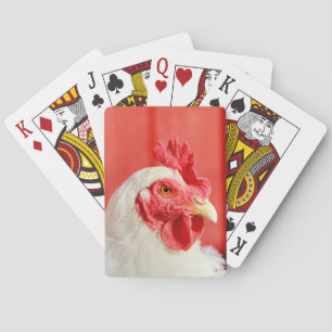Farm Chicken Casinokort