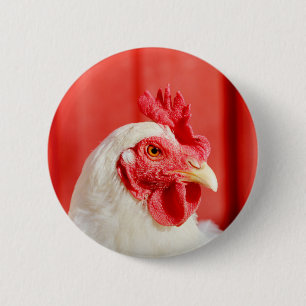 Farm Chicken Knapp