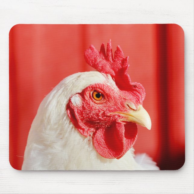 Farm Chicken Musmatta (Framsidan)