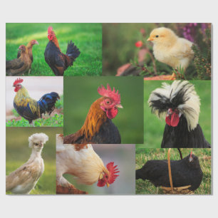 Farm Chickens Photo Collage Presentpapper