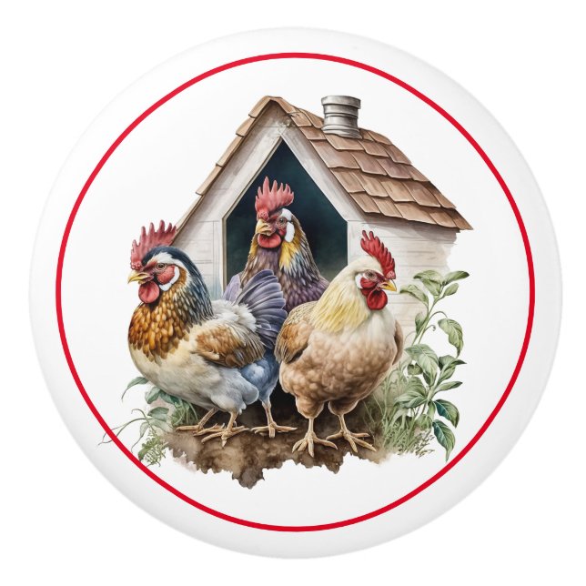 Farm Chickens Red Barn Land Knopp (Framsidan)
