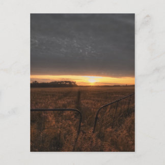 farm fält vykort