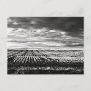 farm fält vykort