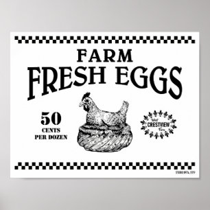 FARM FÄRSKA ÄGG POSTER