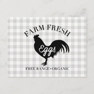 Farm Fresh Chicken Land Gingham Vykort