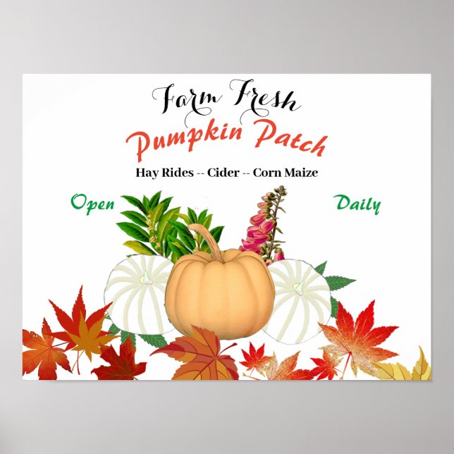 Farm Fresh Pumpkin Patch Fall Harvest Farmhouse Poster (Framsidan)