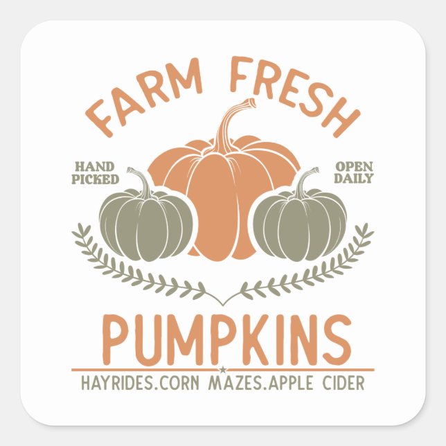 Farm Fresh Pumpkins | Handplockad Fyrkantigt Klistermärke (Framsida)
