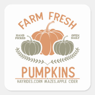 Farm Fresh Pumpkins   Handplockad Fyrkantigt Klistermärke