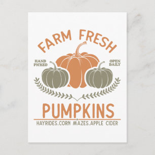 Farm Fresh Pumpkins Handplockad Vykort