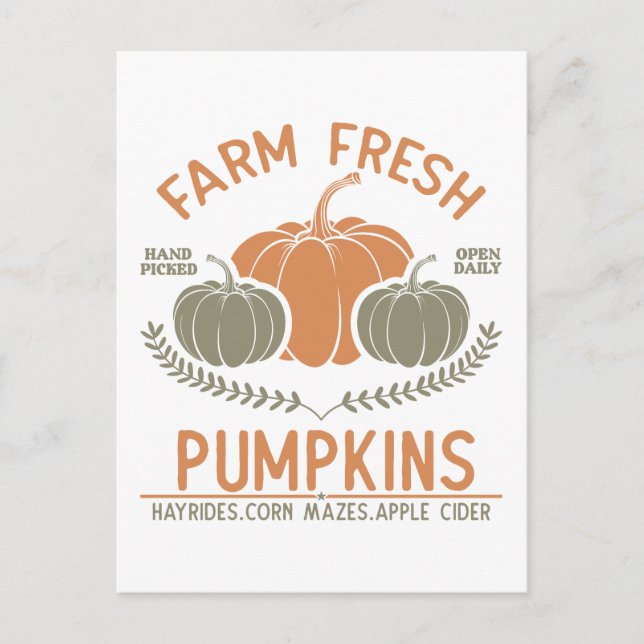 Farm Fresh Pumpkins | Handplockad Vykort (Framsida)