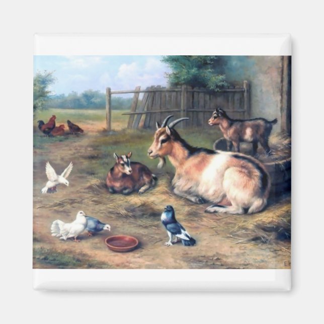 Farm Goat Kids Pigeons Magnet (Framsidan)