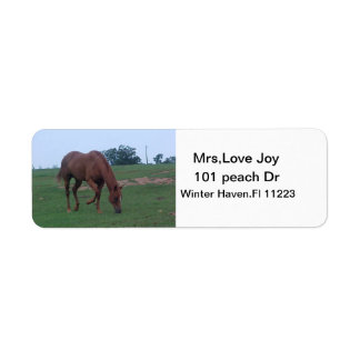 Farm Horse Adress Lables Returadress Etikett