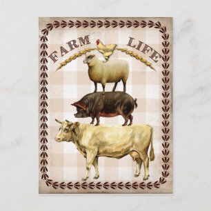 Farm Life vintage Land vykort