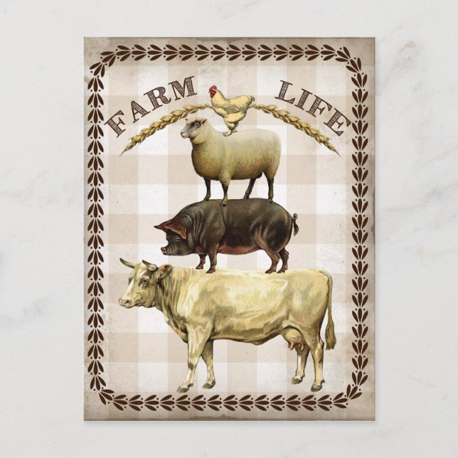 Farm Life vintage Land vykort (Framsida)