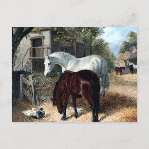 Farm Scene med hästar Vykort