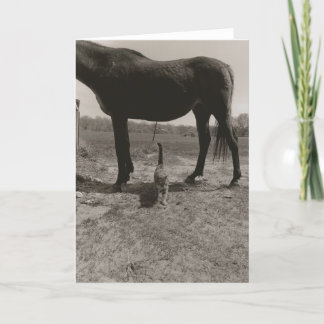 Farm-vänner II Kort