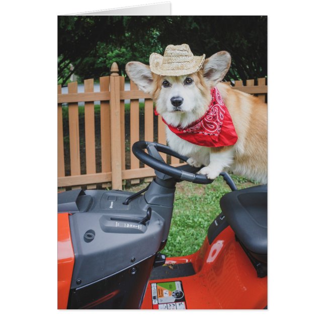 Färmer Corgi-blankkort Hälsningskort (Framsidan)