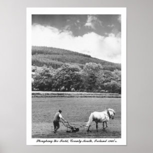 Farmer & horse plow, 1960's Ireland, Co. Meath Poster