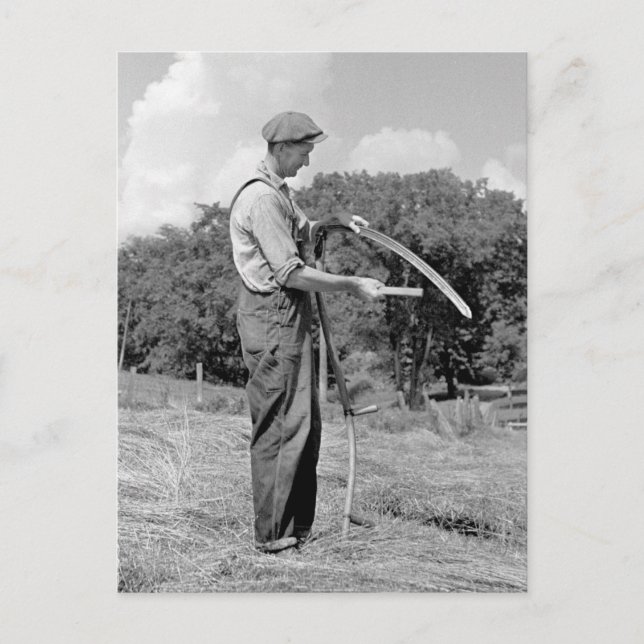 Farmer Sharpening a Scythe, 1930-talet Vykort (Framsida)