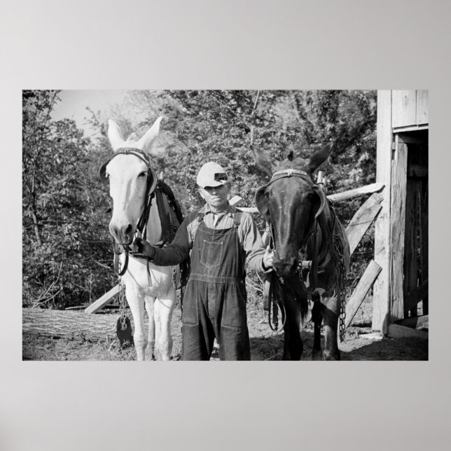 Farmer with Plow Horses, 1930-talet Poster (Framsidan)