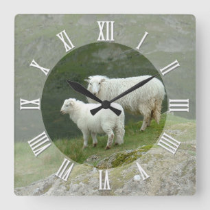 Farmers Clock, Scottish Sheep, Mountain, Scotland Fyrkantig Klocka