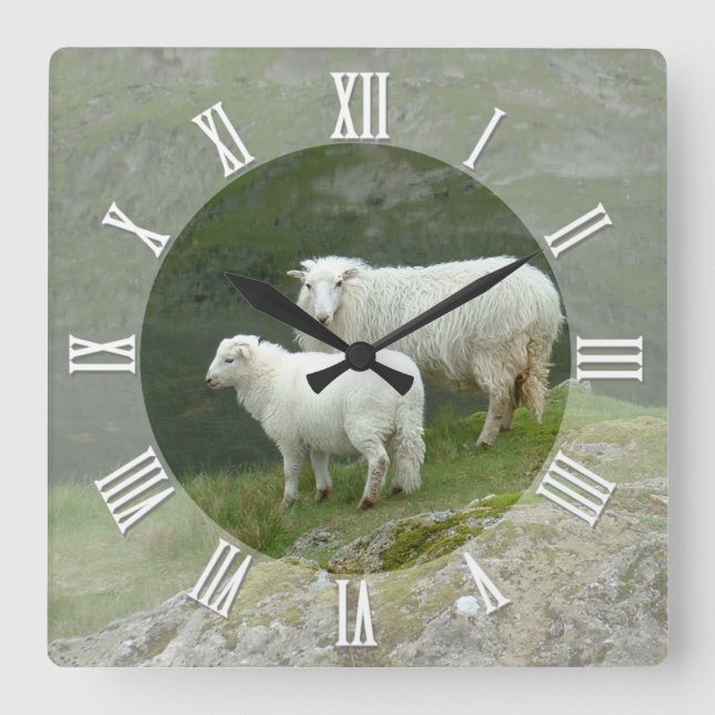 Farmers Clock, Scottish Sheep, Mountain, Scotland Fyrkantig Klocka (Framsida)