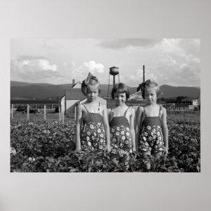 "Farmers döttrar", 1939 Poster