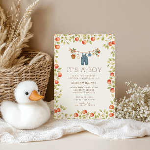 Farmhouse Baby Klädlinne Baby Shower Inbjudningar