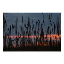 Farming Sunset