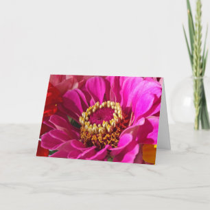 Farmor med Rosa Zinnia Flower Kort