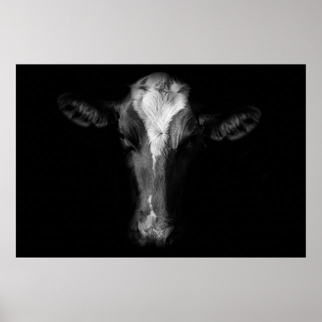 Farms | B&W Cow Head Shot Poster (Framsidan)