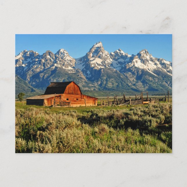 Farms | Barn Shadowed by Snow Capped Mountains Vykort (Framsida)