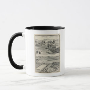 Farms, Capay Valley, Madison Mugg