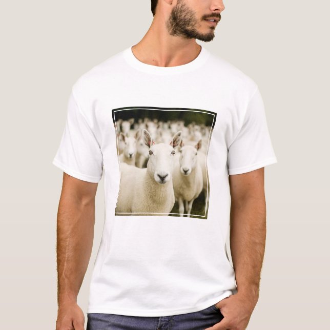 Farms | Herd of Sheep T Shirt (Framsida)
