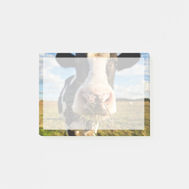 Farms | Holstein Cow Chewing Post-it Block (Framsida)