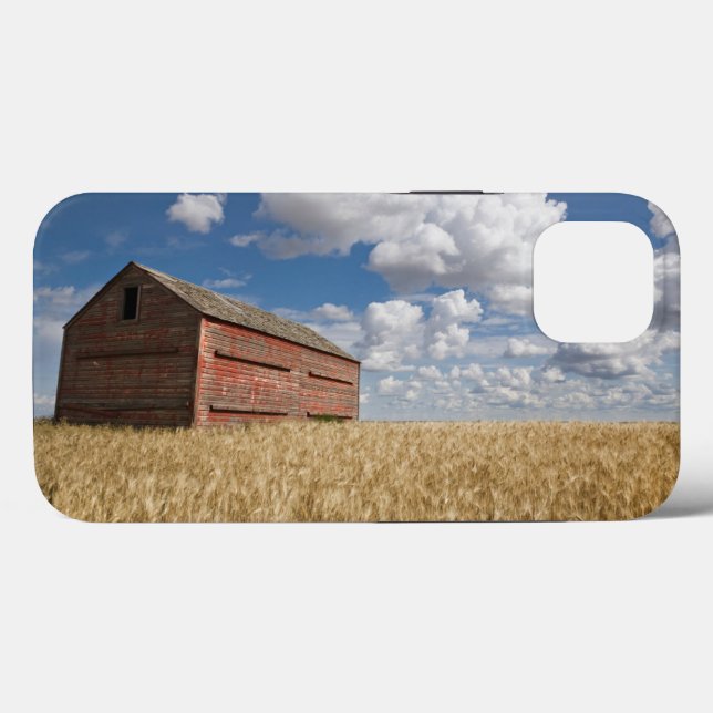 Farms | Old Red Barn in Wheat Field (Baksida (horisontell))