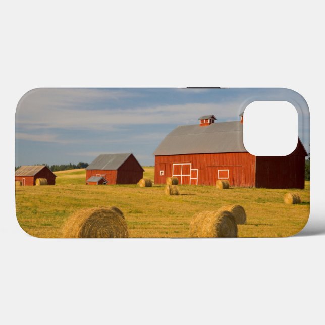 Farms | Red Barns Near Hay Bales (Baksida (horisontell))