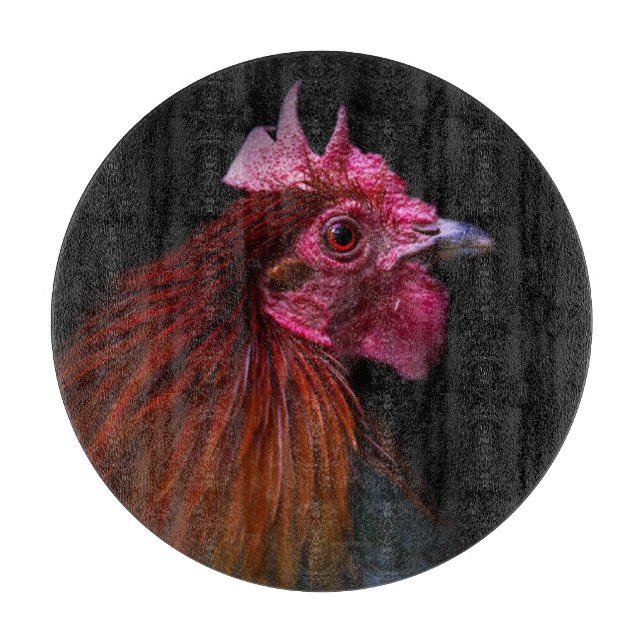 Farms | Rooster Head Shot (Framsidan)
