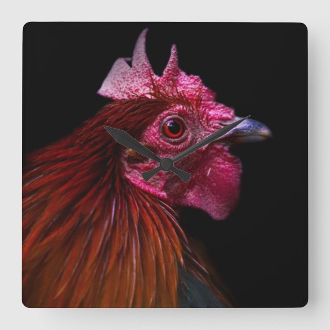 Farms | Rooster Head Shot Fyrkantig Klocka (Framsida)